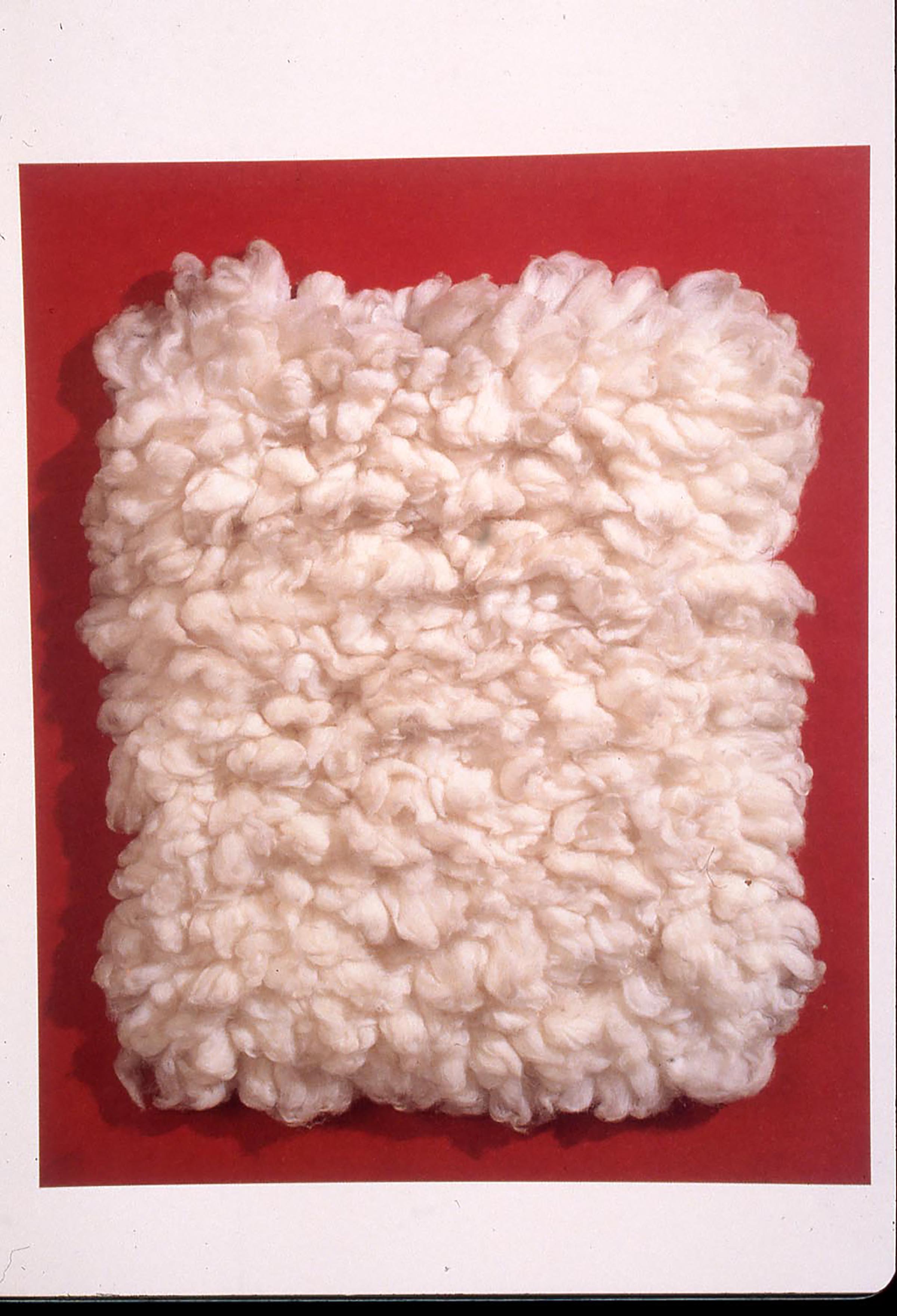 Piero Manzoni, Achrome, 1961